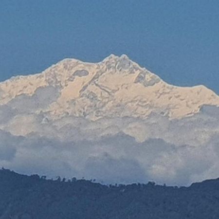 New Bloom Homestay Kurseong Eksteriør billede