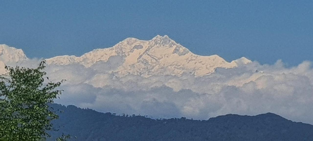 New Bloom Homestay Kurseong Eksteriør billede