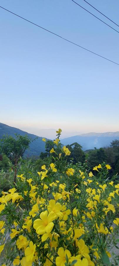 New Bloom Homestay Kurseong Eksteriør billede