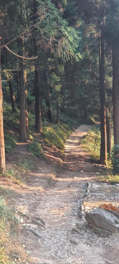 New Bloom Homestay Kurseong Eksteriør billede