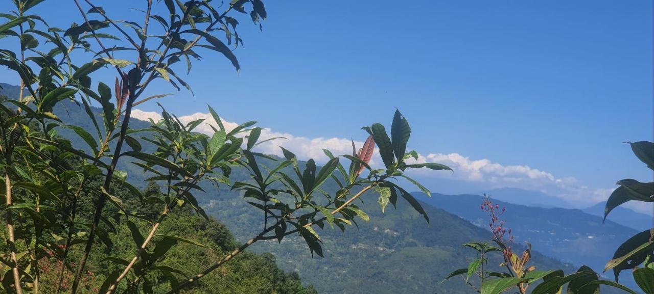 New Bloom Homestay Kurseong Eksteriør billede