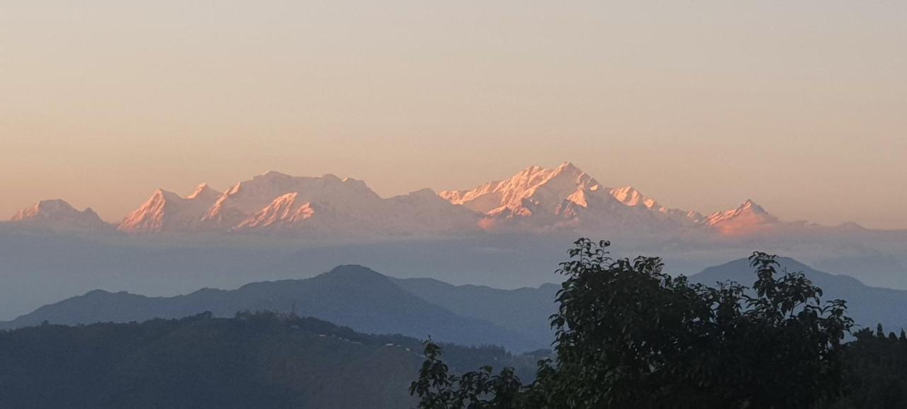 New Bloom Homestay Kurseong Eksteriør billede